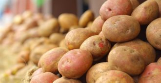 картофель коломбо описание сорта фото отзывы