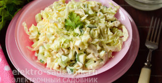салат моника