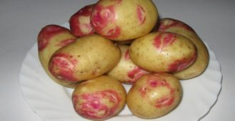 Картофель Иван да Марья