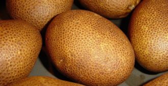 картофель киви