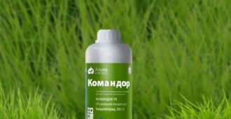 Командор