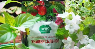 Чудо Плодородие