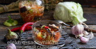 баклажаны кусочками с капустой на зиму