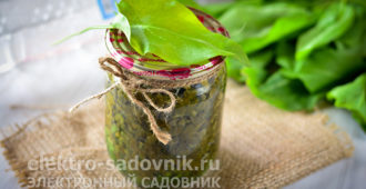 щавель на зиму в банках без стерилизации и соли