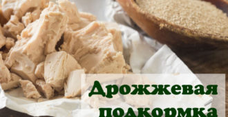 Когда и как проводить подкормку помидор дрожжами. Рецепты приготовления растворов. Польза дрожжей для томатов. Советы по правильному использованию удобрения.