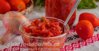 острый томатный соус Чемергес