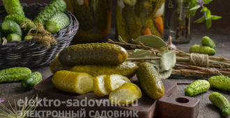 хрустящие маринованные огурцы