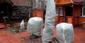 Защита деревьев от морозов